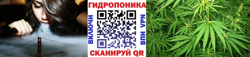 Конопля семена  Пятигорск 